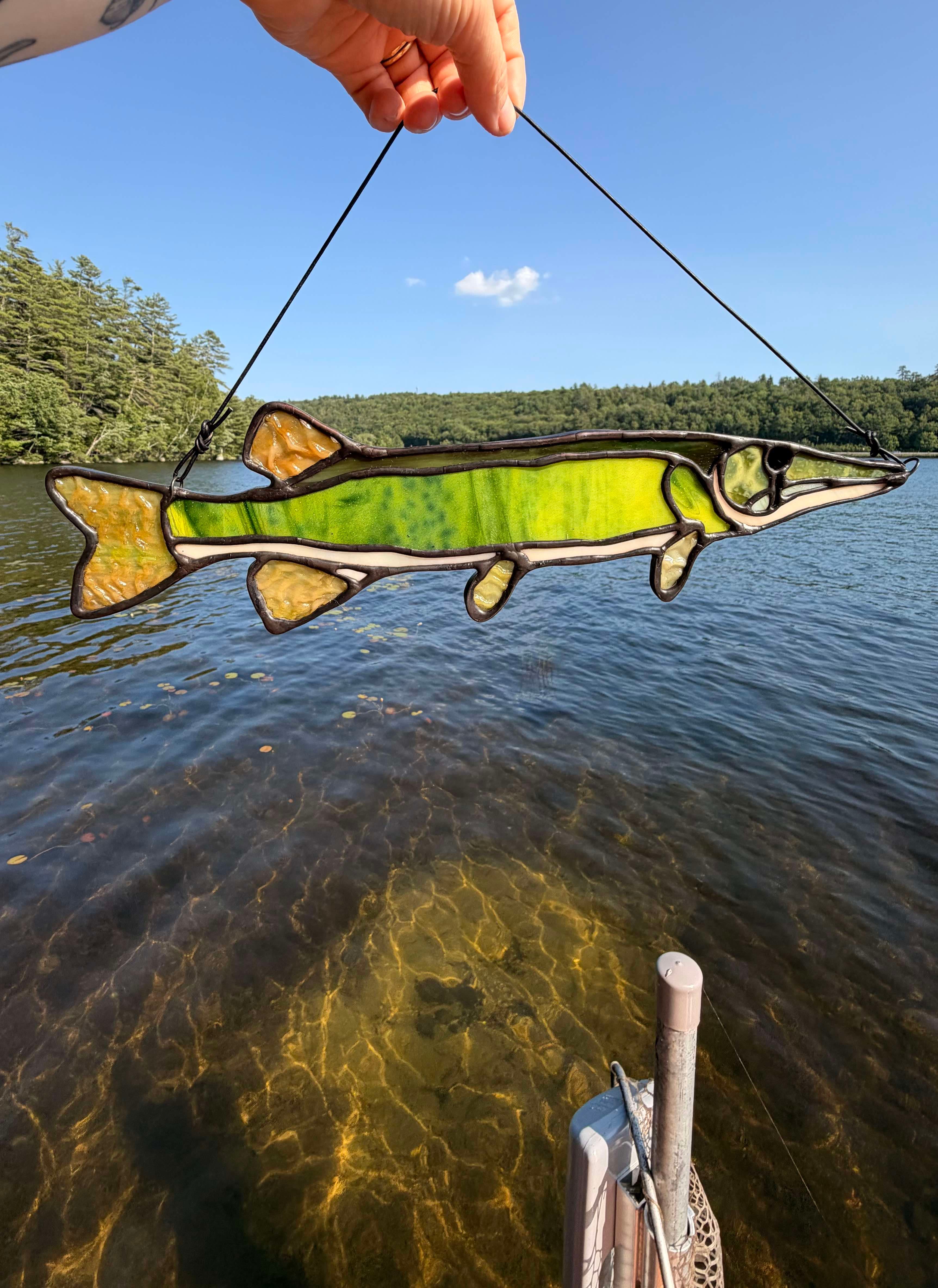 Chain Pickerel