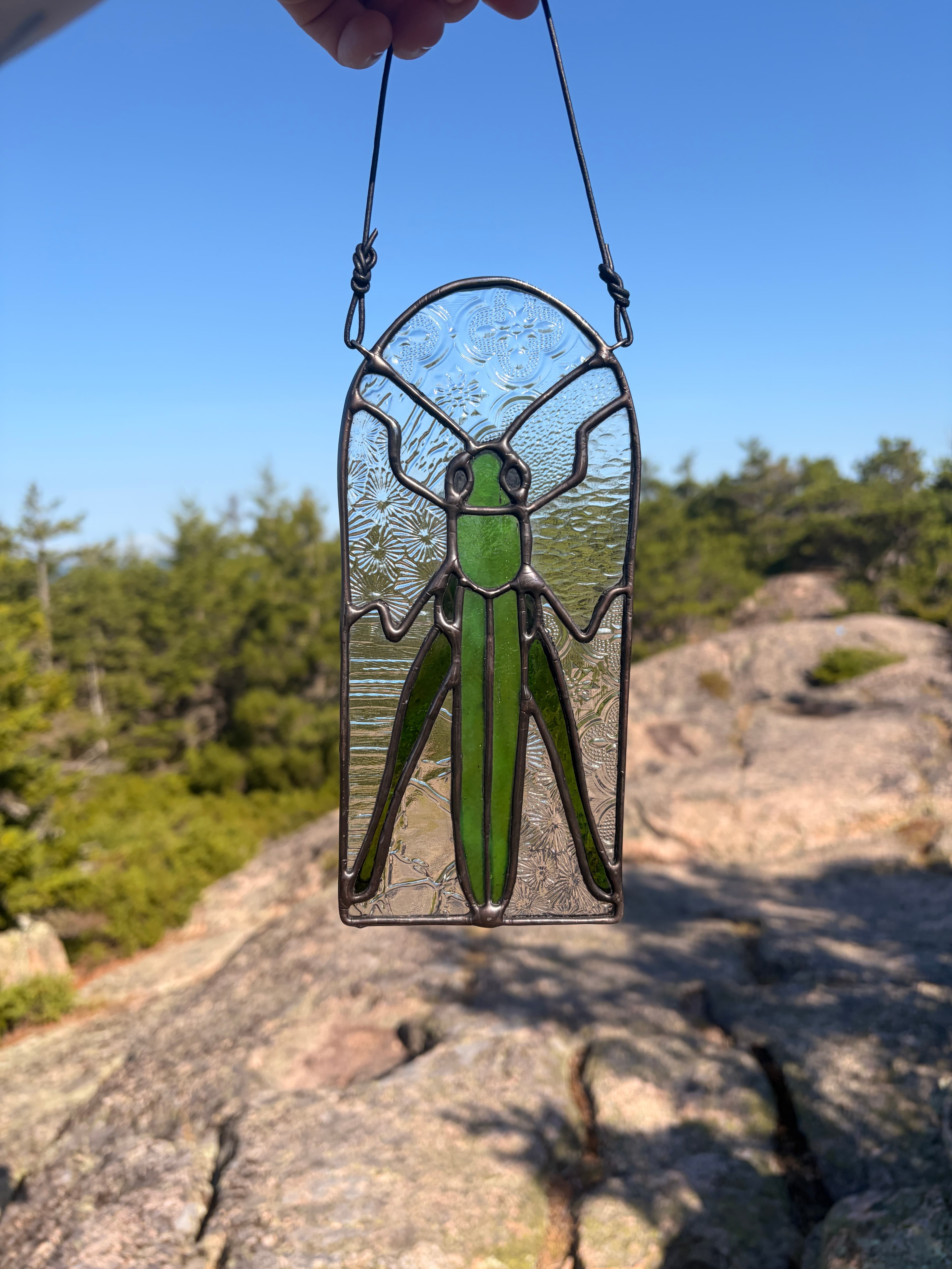 Grasshopper