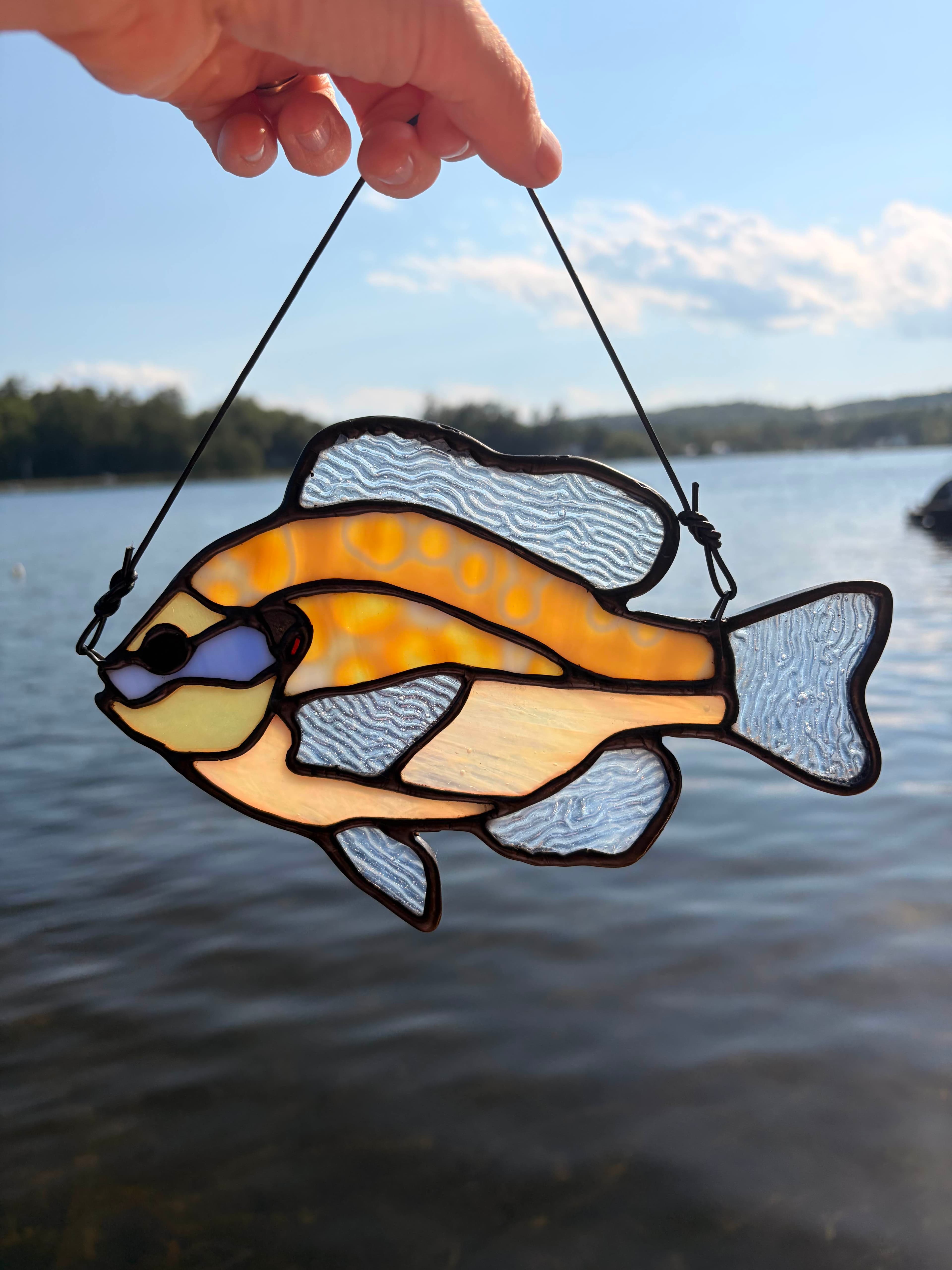 Pumpkinseed Sunfish