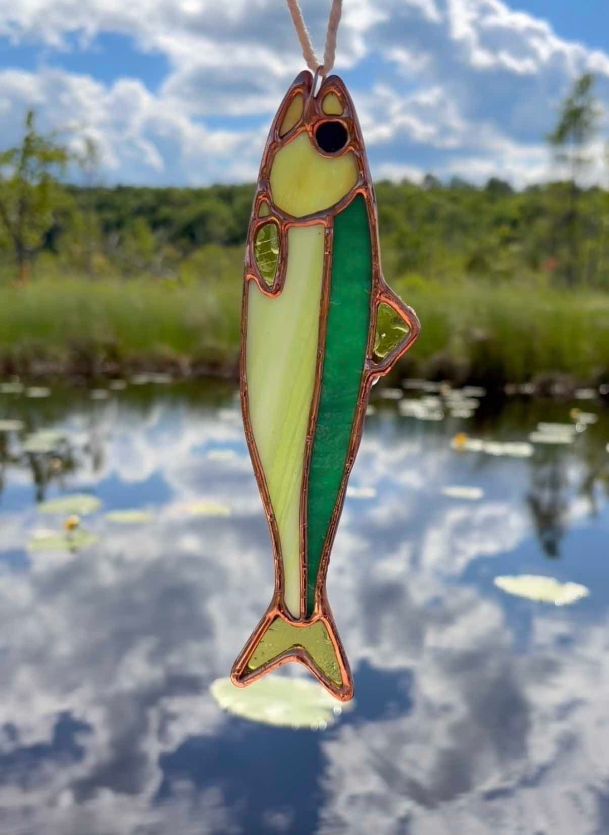 Baby Bass